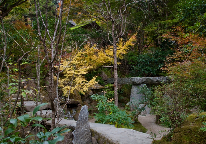 Ohara Hosen-in Garden 11-2230.jpg